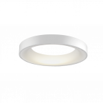 Lubinis LED &scaron;viestuvas Sovana 45 Baltas