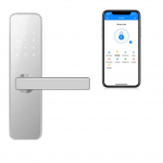 I&scaron;manioji durų rankena EMPIRE HANA be FINGERPRINT (Sidabrinė)