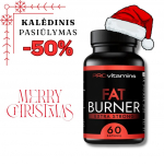 PROVITAMINS riebalų degintojas EXTRA STRONG (60 kaps.)