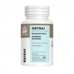Grybai REISHI 60 kaps.