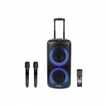 MadBoy Audio MadBoy TOTAL karaoke device with wireless microphones