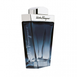 Salvatore Ferragamo Salvatore Ferragamo Subtil 100 ml Vyrams