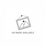 Salewa Mountain Trainer Lite GTX žygio batai