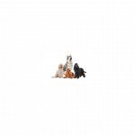 BIOFEED Tasty Dogs Life Junior Vėrienos - &scaron;lapio maisto &scaron;unims - 150g