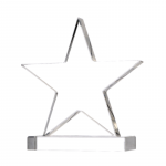 Stiklinis trofėjus "Žvaigždė"