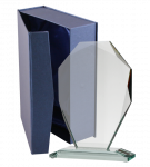 Stiklinis apdovanojimas G007