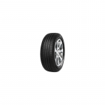 Minerva F209 205/55 R16  91 V