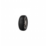 Minerva Frostrack HP 195/55 R16  87 H