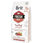 Brit Fresh Beef with Pumpkin Puppy Large 12kg - 12 kg