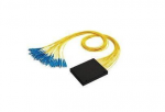 Spliteris 1x16 PLC virinamas