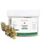 LOOSEN AMNESIA kanapės 10g &ndash; 10%