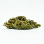 CBD Greenhouse &bdquo;Sweet Mango&ldquo; 10 % kanapių žiedai