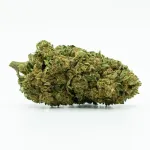 CBD Greenhouse &bdquo;Northern Light&ldquo; 11 % kanapių žiedai