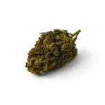 CBD Flower &bdquo;Chemberry&ldquo; 10 % kanapių žiedai