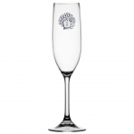 &Scaron;ampano taurių rinkinys LIVING (6 vnt.)