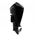 Pakabinamas variklis Mercury F200 L DTS