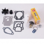 Aptarnavimo rinkinys Mercury  8/9.9 AG 300 val. (8M0120837)