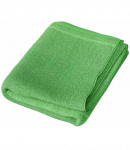 Vonios rank&scaron;luostis &bdquo;Green Economic Towel&ldquo; (60x35 cm)
