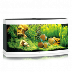 Juwel Vision 260 LED akvariumas 260l Baltas