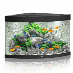 Juwel Trigon 190 LED akvariumas 190l Juodas