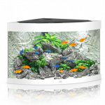 Juwel Trigon 190 LED akvariumas 190l Baltas