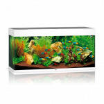 Juwel Rio 180 LED akvariumas 180l Baltas