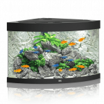 Juwel Trigon 190 LED akvariumas 190l Juodas