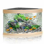 Juwel Trigon 190 LED akvariumas 190l &Scaron;viesus medis