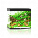 Juwel Lido 200 LED akvariumas 200l Juodas