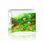 Juwel Lido 200 LED akvariumas 200l Baltas