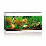 Juwel Rio 180 LED akvariumas 180l Baltas