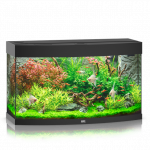 Juwel Vision 180 LED akvariumas 180l Juodas
