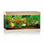Juwel Rio 180 LED akvariumas 180l &Scaron;viesus medis