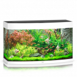 Juwel Vision 180 LED akvariumas 180l Baltas