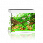 Juwel Lido 200 LED akvariumas 200l Baltas