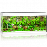 Juwel Rio 240 LED akvariumas 240l Baltas