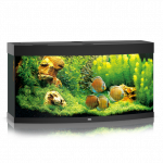 Juwel Vision 260 LED akvariumas 260l Juodas