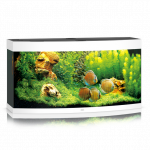 Juwel Vision 260 LED akvariumas 260l Baltas