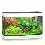 Juwel Vision 180 LED akvariumas 180l Baltas