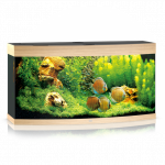 Juwel Vision 260 LED akvariumas 260l &Scaron;viesus medis