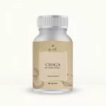 CHAGA | ČAGA kapsulėse