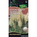 ARGENTININĖS KORTADERIJOS (sėklomis) FEATHER WHITE