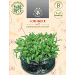 Sėklos daigams Blakinė kalendra 10g (CORIANDRUM SATIVUM)