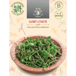 Sėklos daigams Saulėgrąžos 15g (HELIANTHUS ANNUUS)
