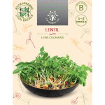 Sėklos daigams Lę&scaron;iai 10g (LENTIL)