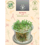Sėklos daigams Liucerna 10g (MEDICAGO SATIVA)
