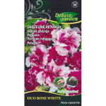 DARŽELINĖ PETUNIJA DUO ROSE WHITE kilimėlyje