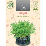 Sėklos daigams Daržiniai &scaron;pinatai 10g (SPINACIA OLERACEA)