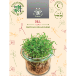 Sėklos daigams Paprastieji krapai 10g (ANETHUM GRAVEOLENS)
