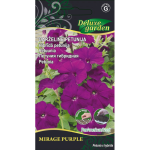 DARŽELINĖ PETUNIJA MIRAGE PURPLE kilimėlyje